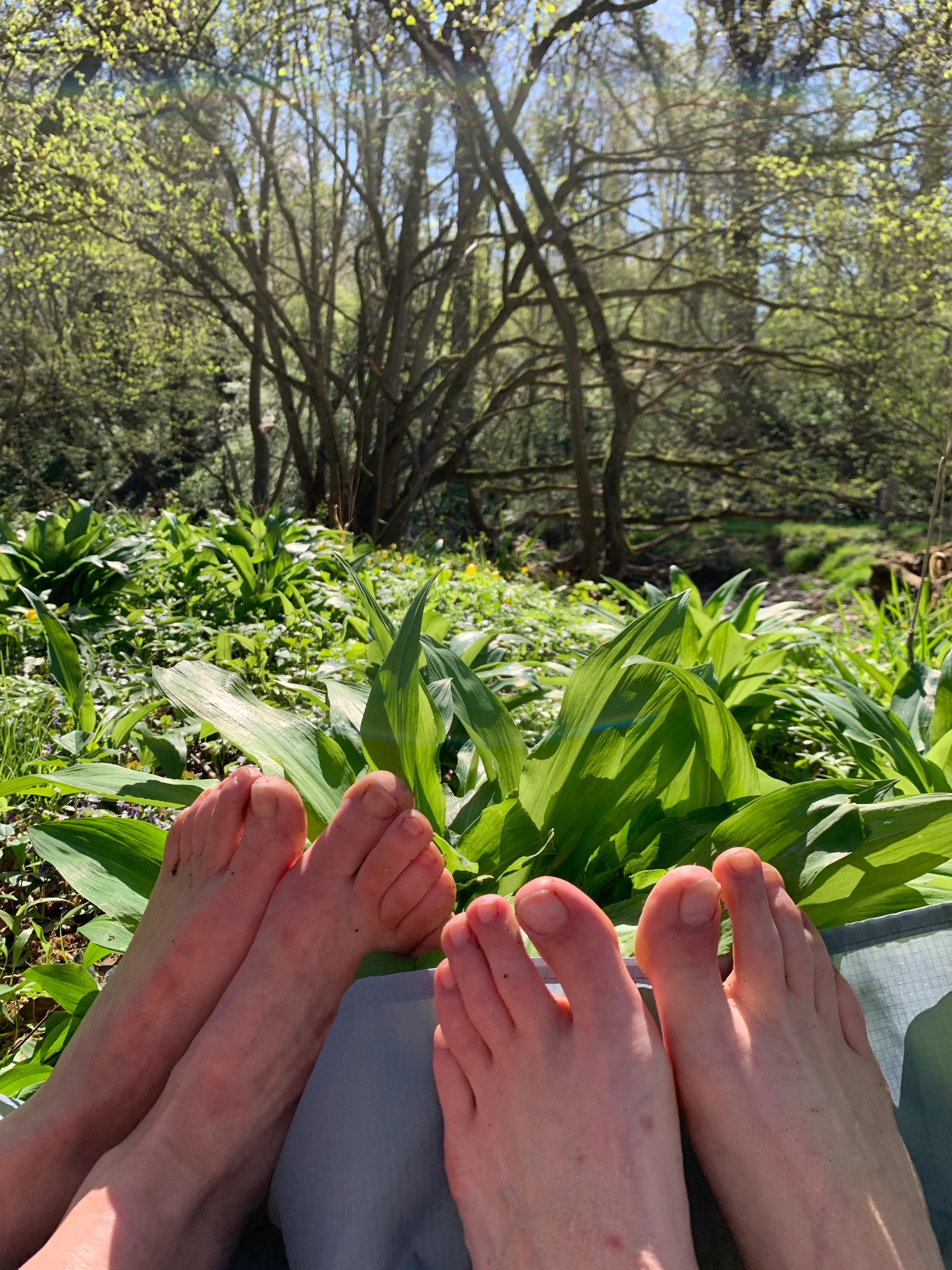 Séance de réflexologie plantaire - photo 4